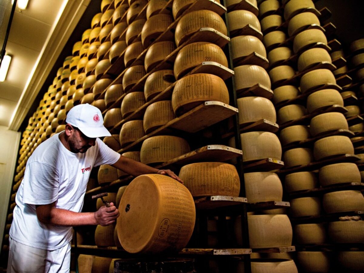Wheel of imported aged Parmigiano Reggiano cheese being inspected before export to the U.S.